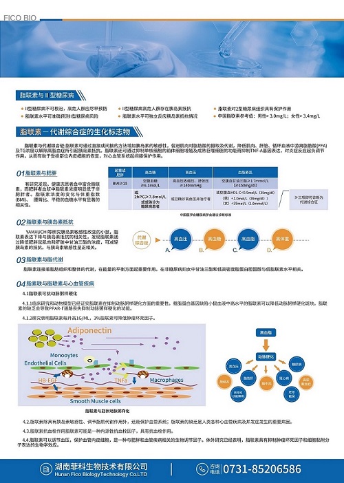 脂聯素彩頁2.jpg